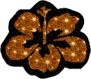 tropical flower