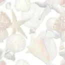 seashell wallpaper 