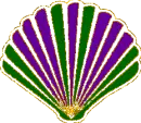 seashell