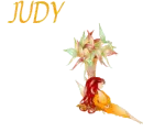 DOLL Signature... JUDY