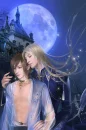 the moon castle