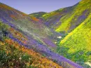 mother nature