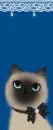 kitty
