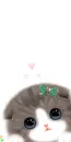 kitty