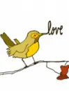 bird love