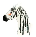 zebra
