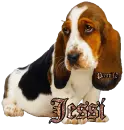 Jessi - fg