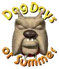 dog days of summer