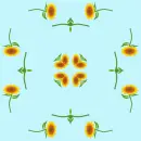 Background - Sunflowers