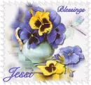 Blessings - Purple and yellow pansies - Requested by Jessi