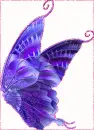Batterfly