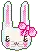 cute bunny