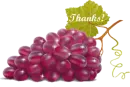 thanks