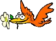 bird flying with posy