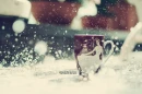 A cup