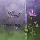 Good evening!
