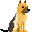 German Shepard