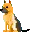Another German Shepard