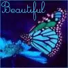 Beautiful Butterfly