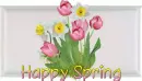 Happy Spring