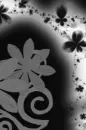 Black Flowers