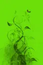 Green clipart