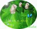 Have a nice Day