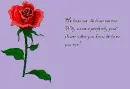 Loves me loves me not