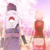 sasusaku