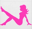 Hot Pink Silhouette