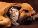 Soooo SOFT