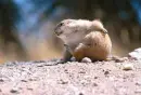 ITCHY ! 