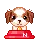 Doggy Eating