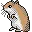 Hamster