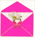 Pink Hello 
