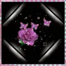 Flower Magic