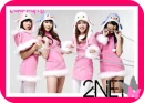 2NE1