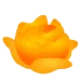 Orange Rose
