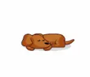 Sleeping Dachshund