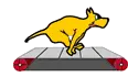Dog Running