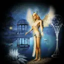 Angel of thr Night