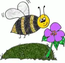bee with flower
