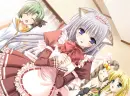 Primula as Cat Maid~