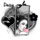 Daisy