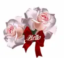 hello
