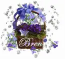 Bren