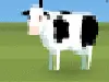 Cows love you!
