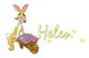 Helen 