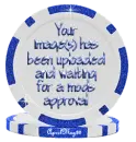 blue image approval poker chip