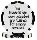 black image approval poker chip